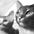 Cat Duo Line Art Mural Wallpaper — Monochrome Engraving Style Mural Wallpaper - room preview 04