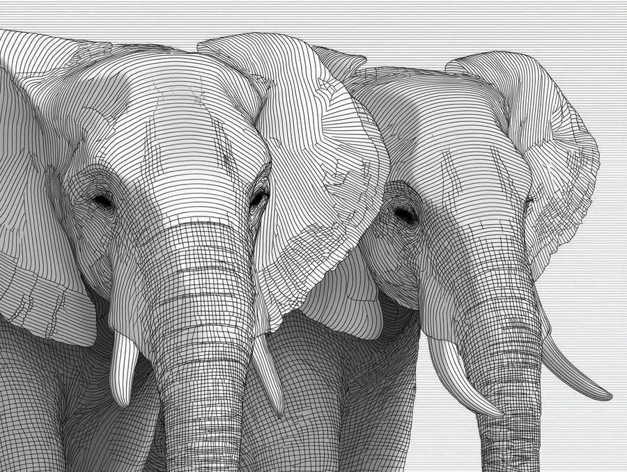 Safari Wallpaper Mural – Wild Animals Wall Mural – Elephant Line Art Portrait — Minimalist Graphic Decor printable artwork