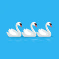 Minimalist Swan Trio Mural Wallpaper — Serene Blue Graphic Mural Wallpaper - room preview 04