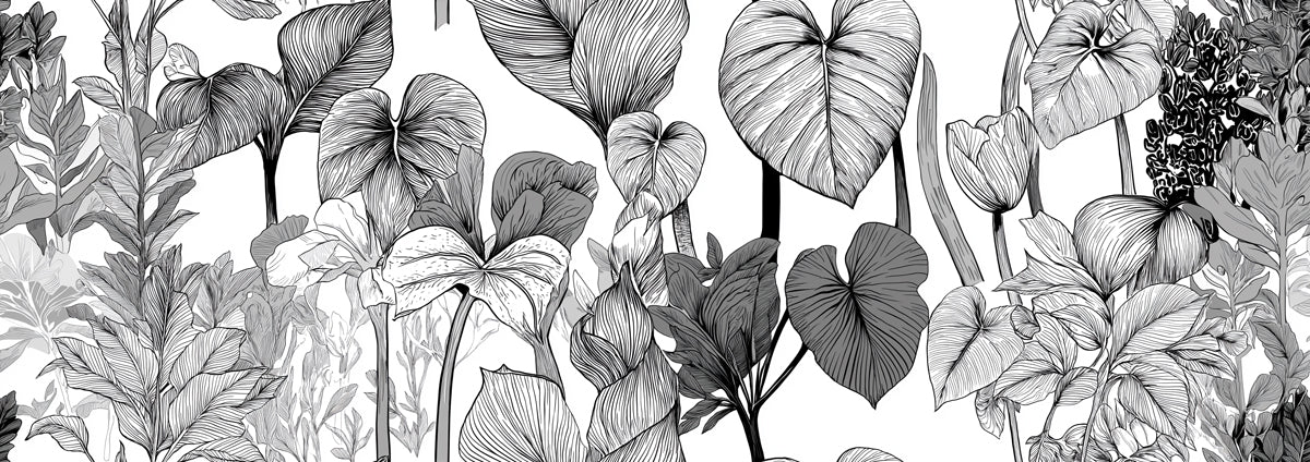 Botanical Sketch Mural Wallpaper — Monochrome Floral Line Art Mural Wallpaper - room preview 04