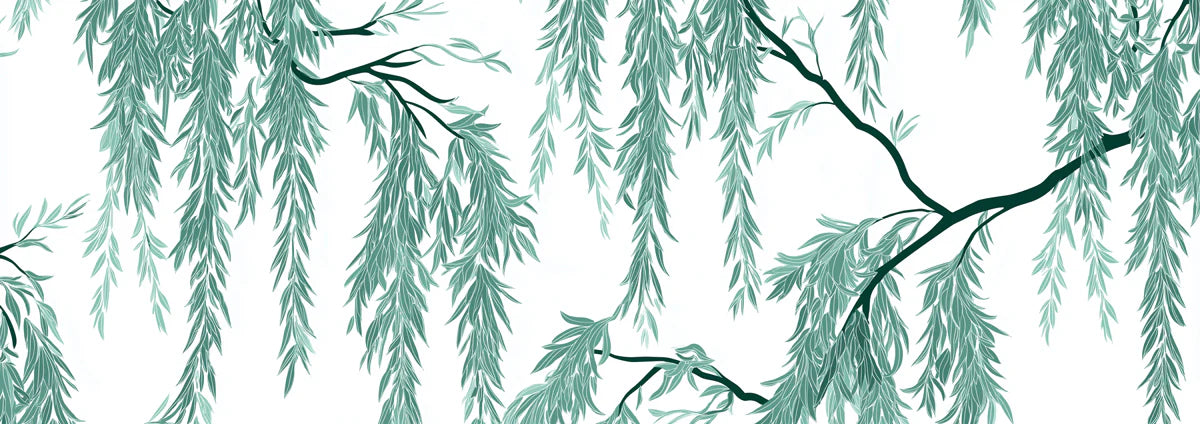 Cascading Willow Branch Mural Wallpaper — Minimalist Botanical Art Mural Wallpaper - room preview 04