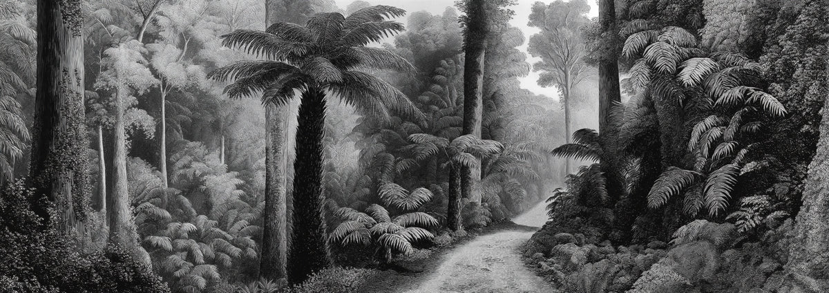 Vintage Rainforest Path Mural Wallpaper — Monochrome Botanical Art Mural Wallpaper - room preview 04