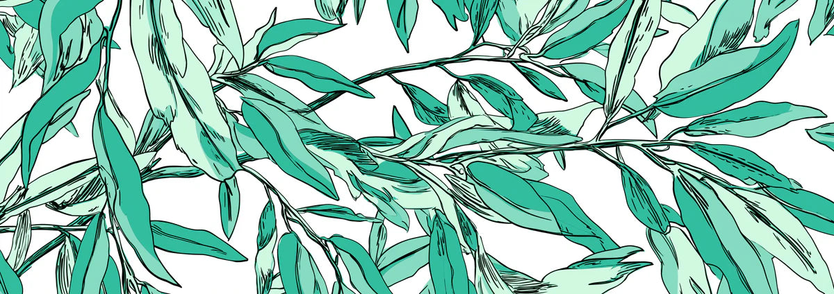 Teal Willow Branch Mural Wallpaper — Artistic Botanical Illustration Mural Wallpaper - room preview 04