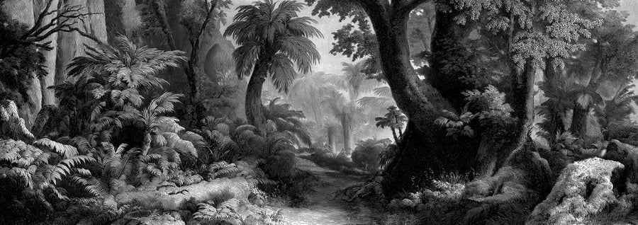Jungle Wallpaper Mural – Rainforest Wall Mural – Vintage Jungle Engraving — Architectural Monochrome printable artwork