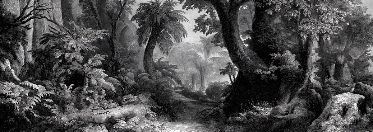 Vintage Jungle Engraving Mural Wallpaper — Architectural Monochrome Mural Wallpaper - room preview 04