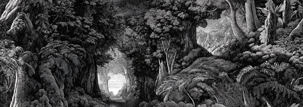 Monochrome Forest Etching Mural Wallpaper — Detailed Nature Scene Mural Wallpaper - room preview 04