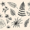 Vintage Botanical Specimen Mural Wallpaper — Black and Cream Study Mural Wallpaper - room preview 04