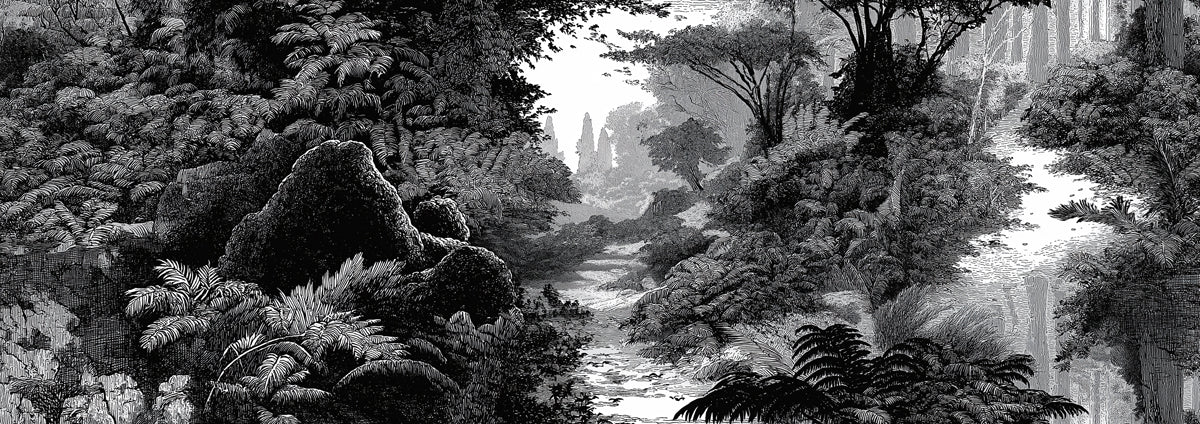 Monochrome Woodland Stream Mural Wallpaper — Vintage Engraving Style Mural Wallpaper - room preview 04