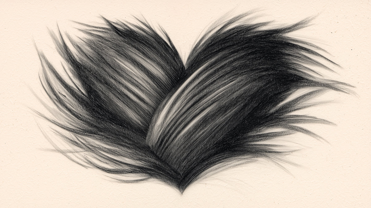 Fur Heart Sketch Mural Wallpaper — Artistic Charcoal Wall Art Mural Wallpaper - room preview 04