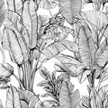 Ink Sketch Banana Leaf Mural Wallpaper — Monochromatic Botanical Mural Wallpaper - room preview 04