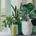 Modern Botanical Potted Plant Mural Wallpaper — Artistic Striped Mural Wallpaper - room preview 04