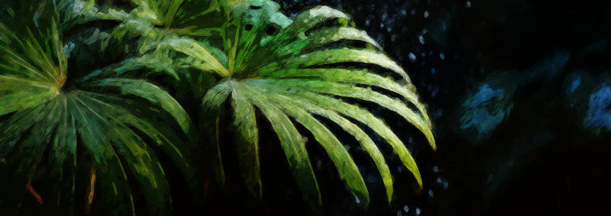 Deep Tropical Palm Leaf Mural Wallpaper — Moody Botanical Art Mural Wallpaper - room preview 04