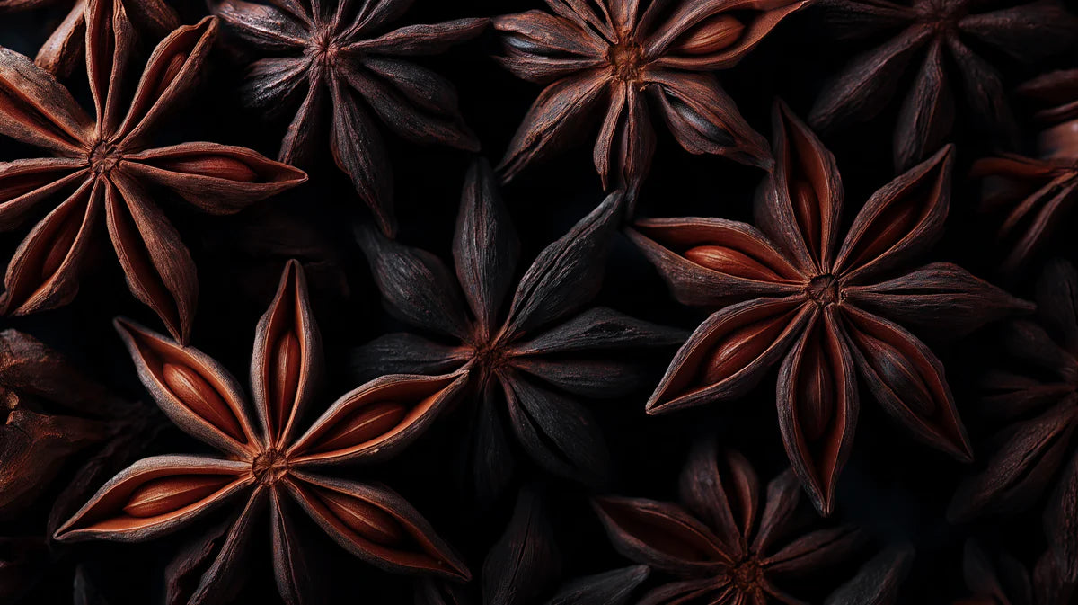 Star Anise Macro Mural Wallpaper — Organic Rustic Spice Art Mural Wallpaper - room preview 04