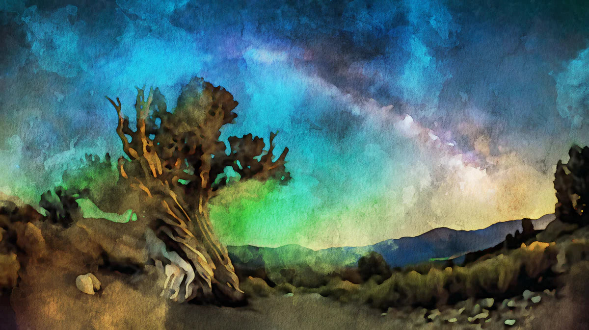 Gnarled Ancient Tree Starry Sky Mural Wallpaper — Artistic Night Mural Wallpaper - room preview 04