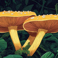 Giant Botanical Mushroom Mural Wallpaper — Whimsical Forest Scene Mural Wallpaper - room preview 04