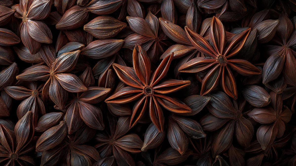 Star Anise Macro Mural Wallpaper — Organic Rustic Texture Mural Wallpaper - room preview 04