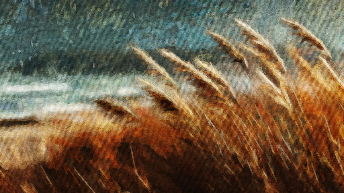 Golden Meadow Oil Painting Mural Wallpaper — Impressionist Style Mural Wallpaper - room preview 04