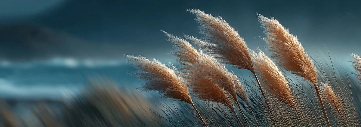 Pampas Grass Landscape Mural Wallpaper — Moody Cinematic Style Mural Wallpaper - room preview 04