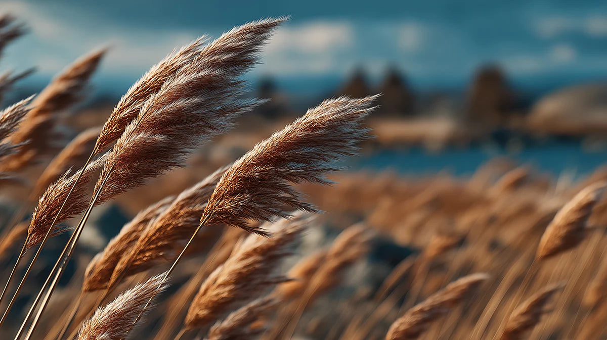 Golden Pampas Grass Meadow Mural Wallpaper — Cinematic Landscape Mural Wallpaper - room preview 04