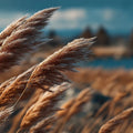 Golden Pampas Grass Meadow Mural Wallpaper — Cinematic Landscape Mural Wallpaper - room preview 04