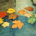 Autumn Maple Leaf Water Mural Wallpaper — Seasonal Nature Decor Mural Wallpaper - room preview 04