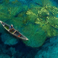 Impressionist Lily Pad Boat Mural Wallpaper — Aerial Pond Design Mural Wallpaper - room preview 04