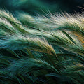 Emerald Grass Oil Painting Mural — Impressionistic Nature Wall Decor Mural Wallpaper - room preview 04