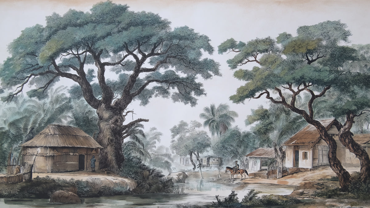 Colonial Tropical Village Mural Wallpaper — Vintage Illustration Mural Wallpaper - room preview 04