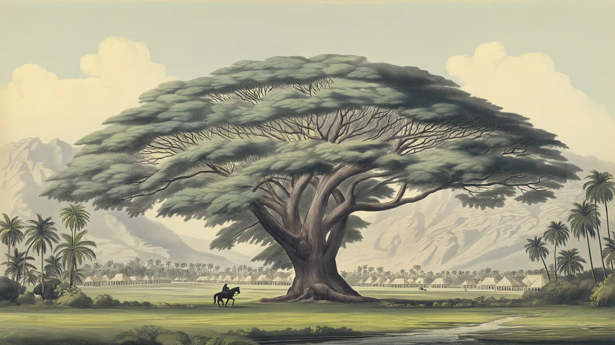 Ancient Banyan Tree Mural Wallpaper — Vintage Landscape Art Mural Wallpaper - room preview 04
