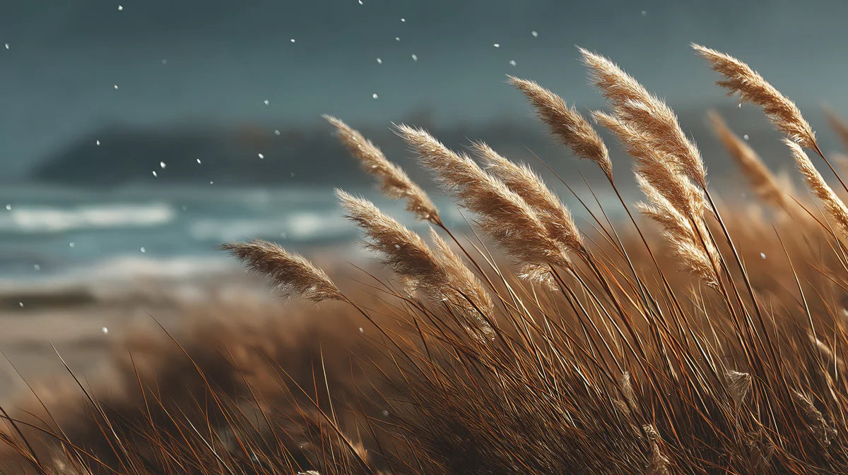 Coastal Reed Grass Mural Wallpaper — Soft Windswept Nature Design Mural Wallpaper - room preview 04