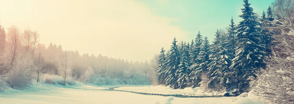 Winter Forest Stream Panoramic Mural Wallpaper — Cold Morning View Mural Wallpaper - room preview 04