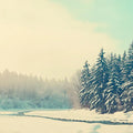 Winter Forest Stream Panoramic Mural Wallpaper — Cold Morning View Mural Wallpaper - room preview 04