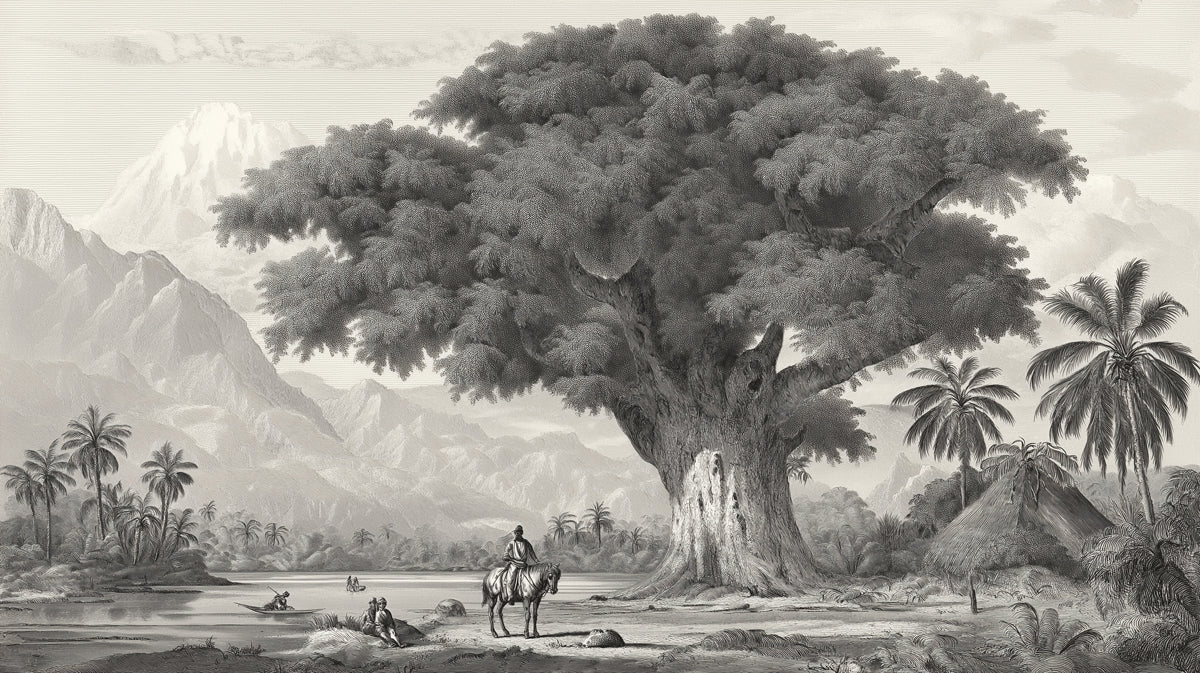 Banyan Tree Mountain Landscape Mural Wallpaper — Vintage Etching Mural Wallpaper - room preview 04