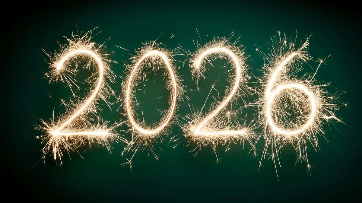 2026 Sparkler Light Mural Wallpaper — Festive Dark Green Wall Art Mural Wallpaper - room preview 04
