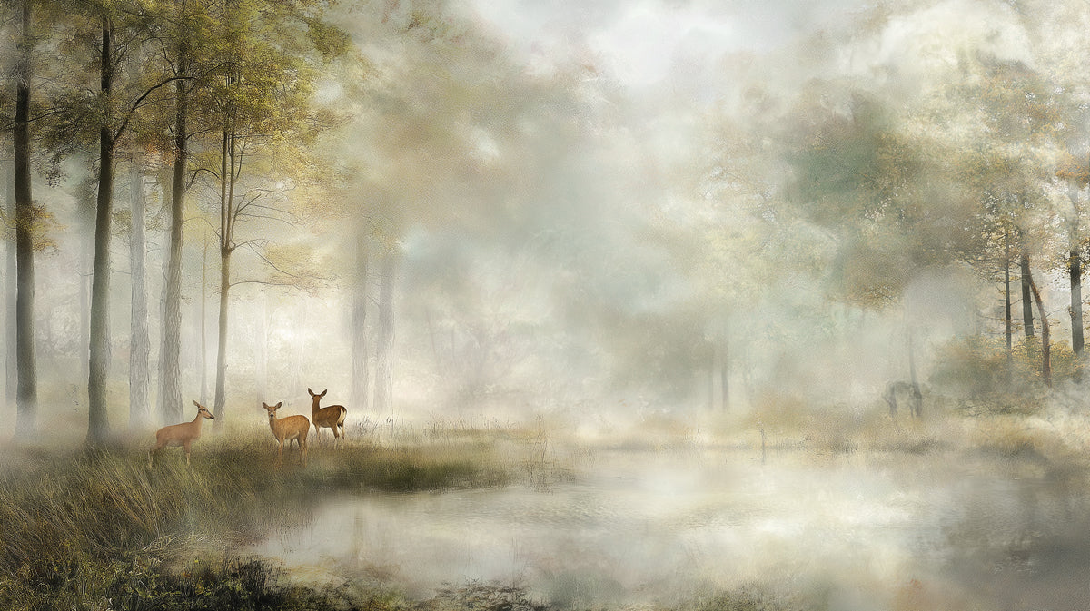 Misty Morning Deer Forest Mural Wallpaper — Impressionistic Nature Mural Wallpaper - room preview 04
