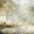 Misty Morning Deer Forest Mural Wallpaper — Impressionistic Nature Mural Wallpaper - room preview 04