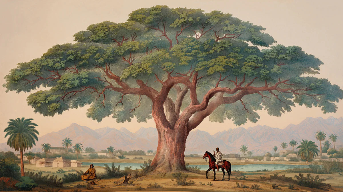 Vintage Acacia Tree Savanna Landscape Mural Wallpaper - room preview 04