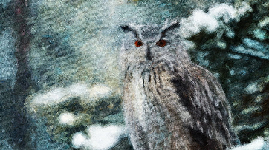 Arktische Virginia-Uhu-Wandtapete — Impressionistische Tierkunst-Wandtapete printable artwork