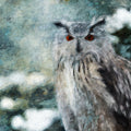 Arctic Great Horned Owl Mural Wallpaper — Impressionist Wildlife Art Mural Wallpaper - room preview 04