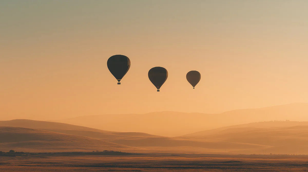 Golden Hour Hot Air Balloon Mural Wallpaper — Hazy Sunset Landscape Mural Wallpaper - room preview 04