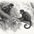 Monkeys in the Canopy Pencil Sketch Mural Wallpaper - room preview 04