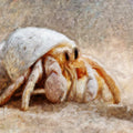 Hermit Crab Impressionist Oil Mural Wallpaper — Coastal Art Decor Mural Wallpaper - room preview 04