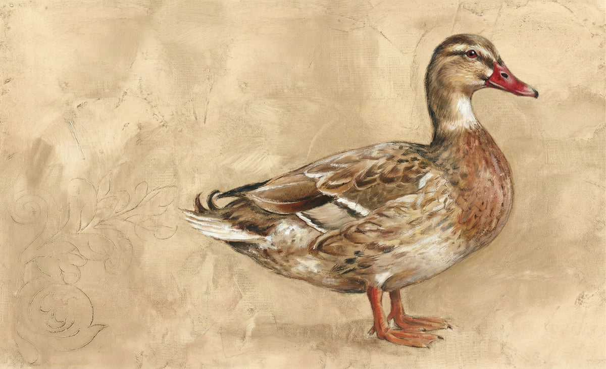 Mallard Duck Nature Illustration Mural Wallpaper — Vintage Art Style Mural Wallpaper - room preview 04