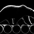Bear and Industrial Pipe Mural Wallpaper — Minimalist Monochrome Mural Wallpaper - room preview 04