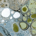 Fluid Cell Abstract Mural Wallpaper — Sage and Slate Organic Decor Mural Wallpaper - room preview 04