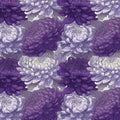 Deep Violet Chrysanthemum Mural Wallpaper — Botanical Art Mural Wallpaper - room preview 04