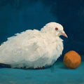 Artistic Still Life Mural Wallpaper Resting White Pigeon Mural Wallpaper - room preview 04
