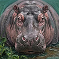 Impressionist Hippo Oil Painting Mural Wallpaper - room preview 04