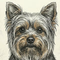 Yorkshire Terrier Sketch Mural Wallpaper — Hand-Drawn Pet Portrait Mural Wallpaper - room preview 04