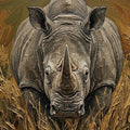 Rhino Portrait Oil Painting Mural Wallpaper — Textured Safari Art Mural Wallpaper - room preview 04